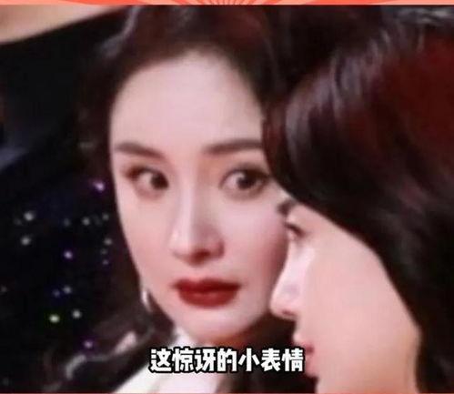 娱乐圈的瓜吃不起来